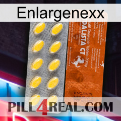 Enlargenexx 42